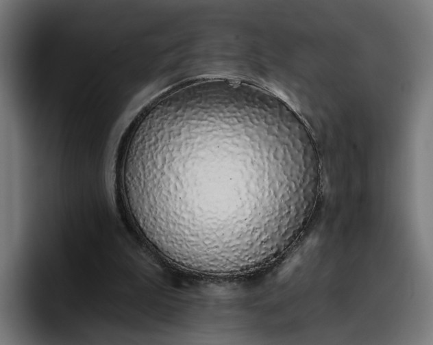 X0000096710199200802191515