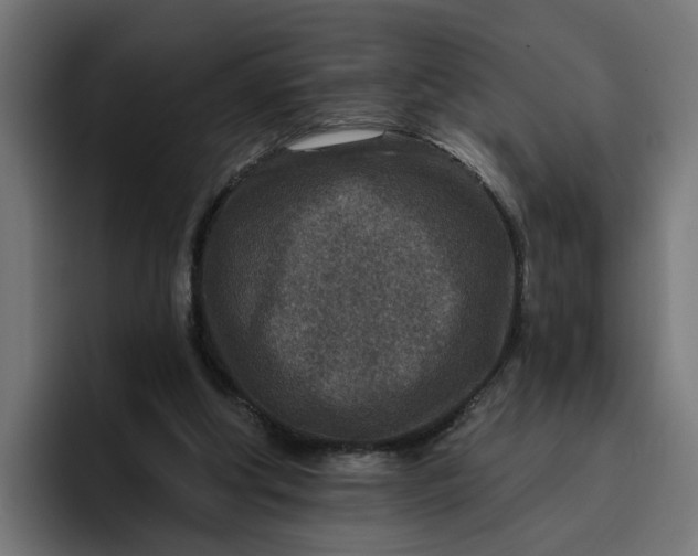 X0000096710202200802191515