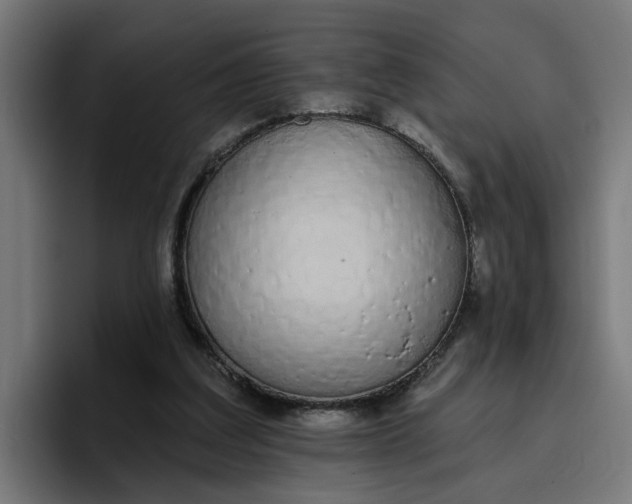 X0000096710203200802191515