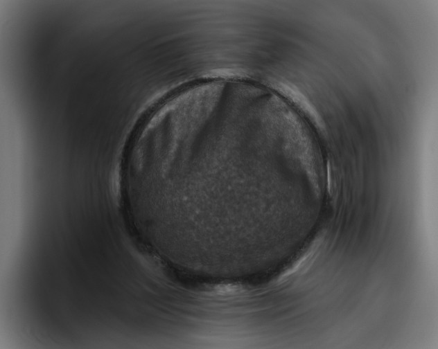 X0000096710204200802191515