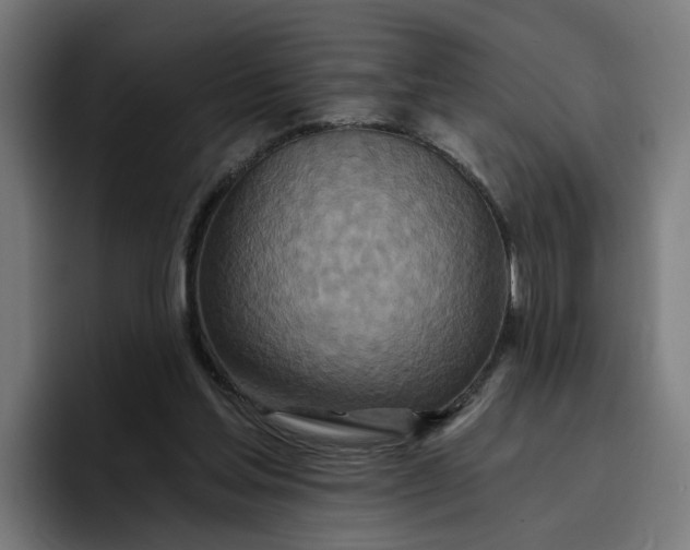 X0000096710205200802191515