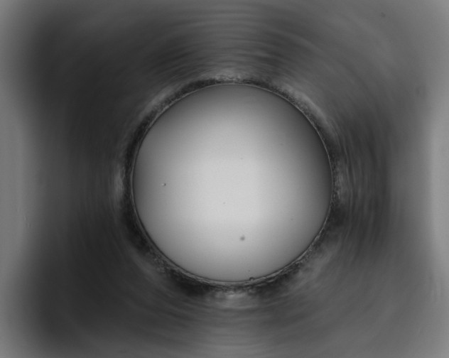 X0000096710208200802191515