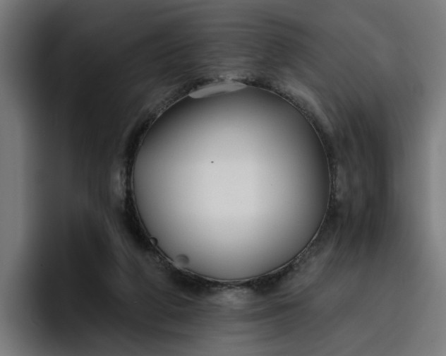 X0000096710210200802191515