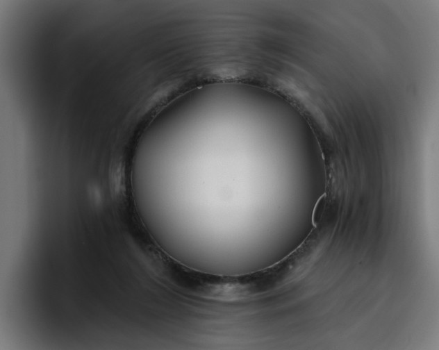 X0000096710212200802191515