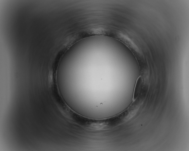 X0000096710213200802191515