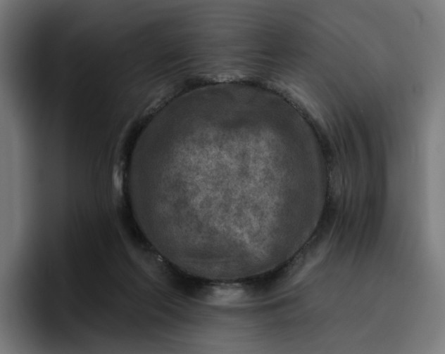 X0000096710214200802191515