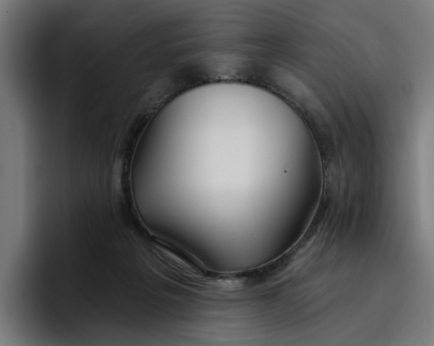 X0000096710217200802191515