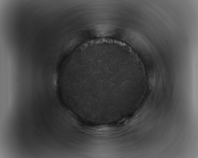 X0000096710219200802191515