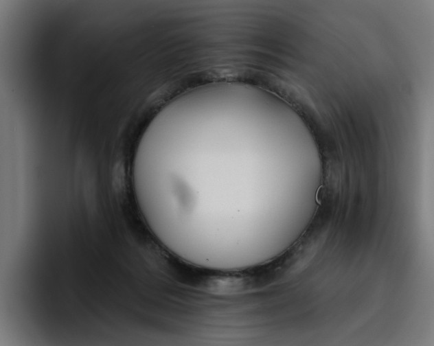 X0000096710220200802191515