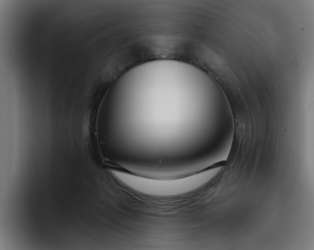 X0000096710221200802191515