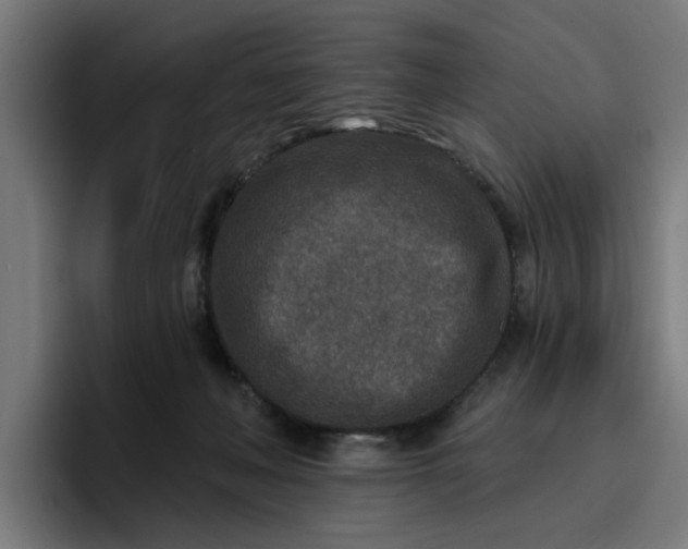 X0000096710222200802191515