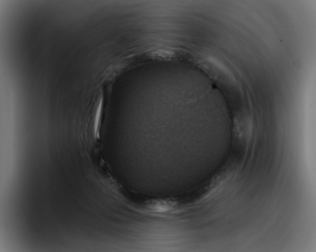 X0000096710223200802191515