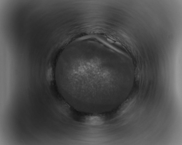 X0000096710224200802191515