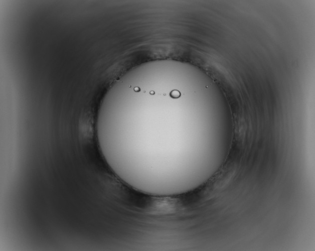 X0000096710226200802191515