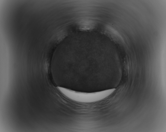 X0000096710227200802191514