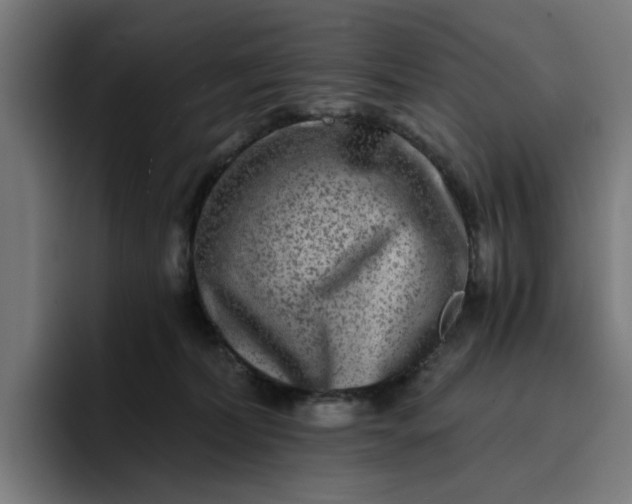 X0000096710228200802191514