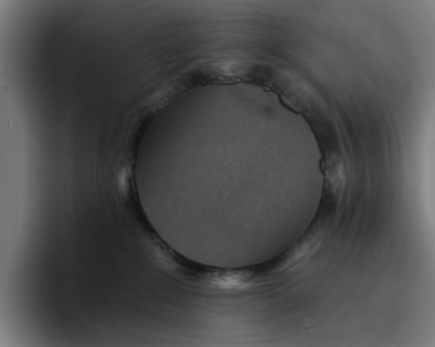 X0000096710235200802191514