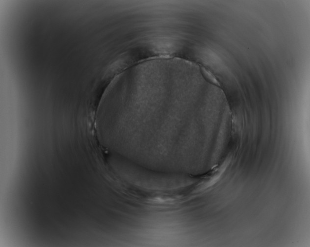 X0000096710237200802191514