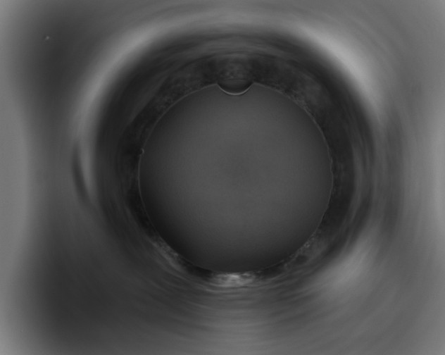 X0000096710239200802191514