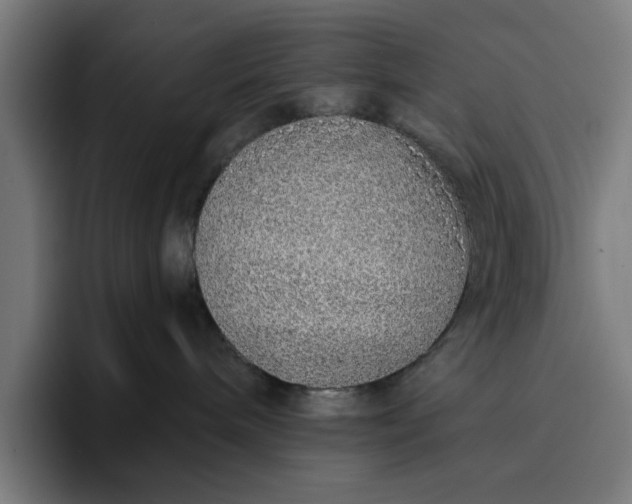 X0000096710240200802191514