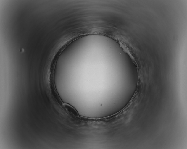 X0000096710242200802191514