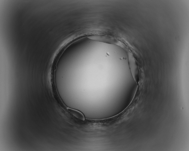 X0000096710244200802191514