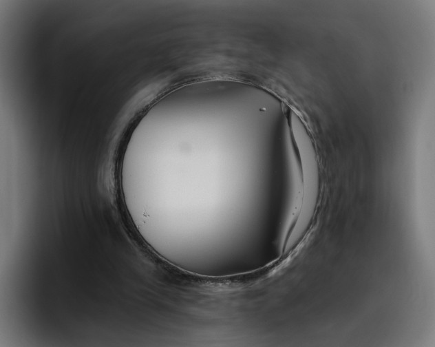 X0000096710245200802191514