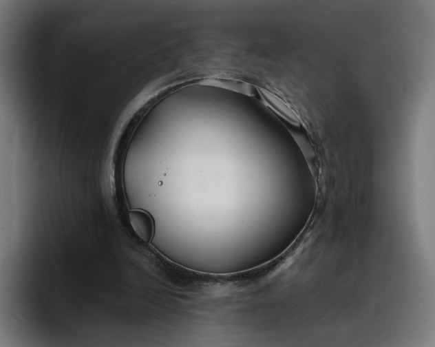 X0000096710246200802191514