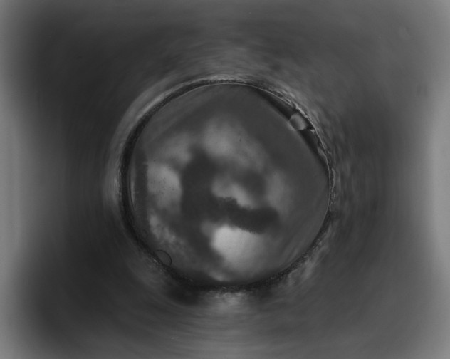 X0000096710247200802191514