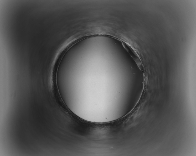 X0000096710248200802191514