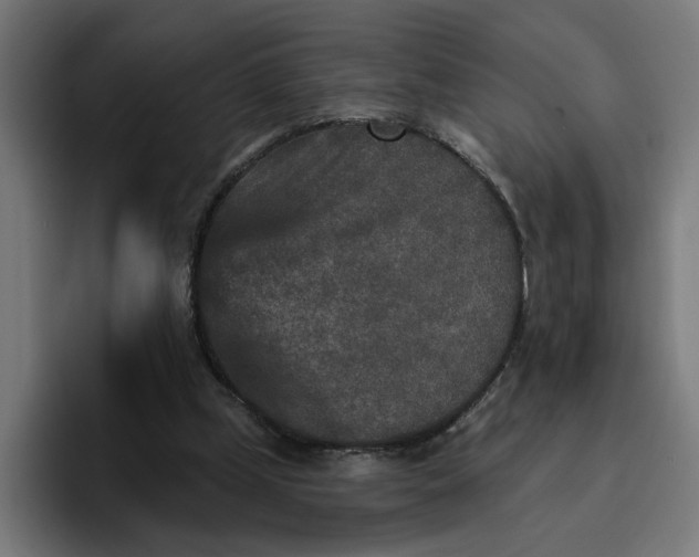 X0000096710249200802191514