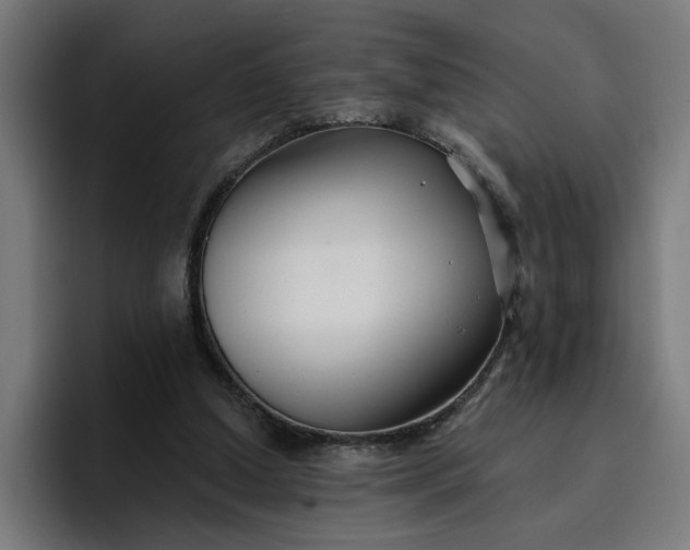 X0000096710250200802191514