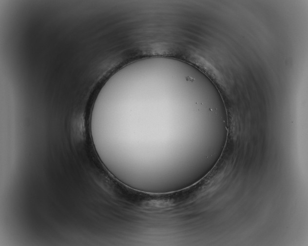 X0000096710251200802191514