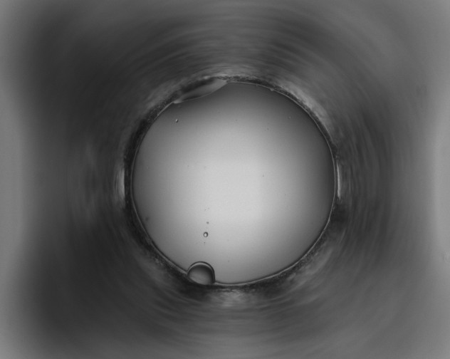 X0000096710253200802191514