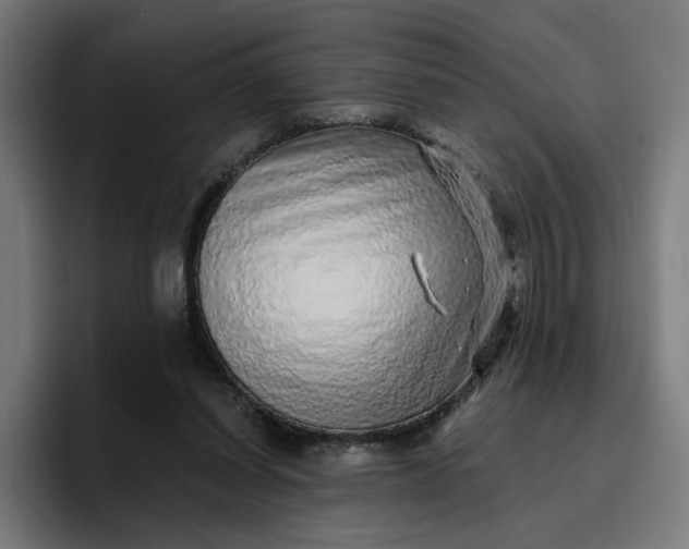 X0000096710254200802191514