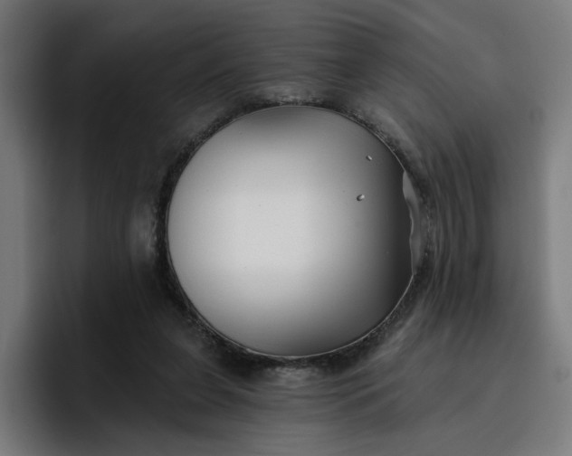 X0000096710255200802191514