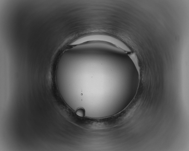 X0000096710256200802191514