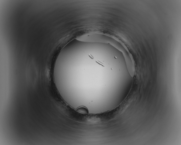 X0000096710258200802191514