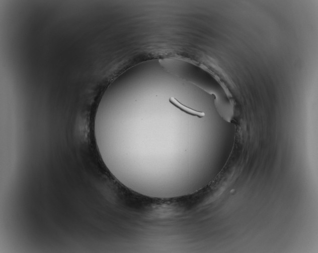 X0000096710259200802191514