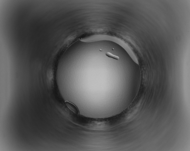 X0000096710260200802191514