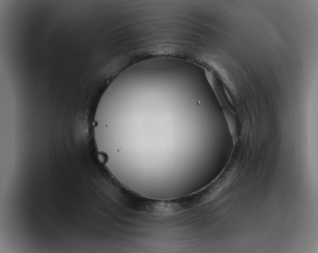 X0000096710261200802191514