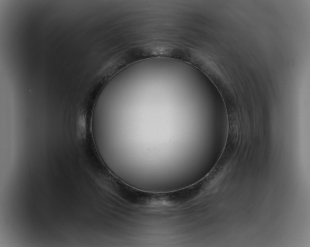 X0000096710262200802191514