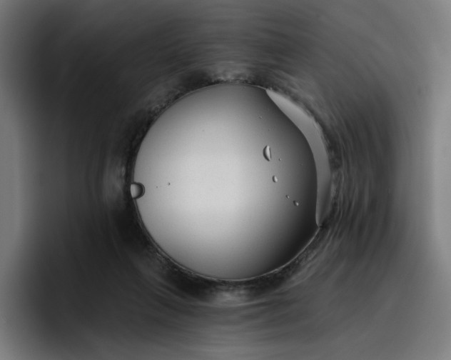 X0000096710263200802191514