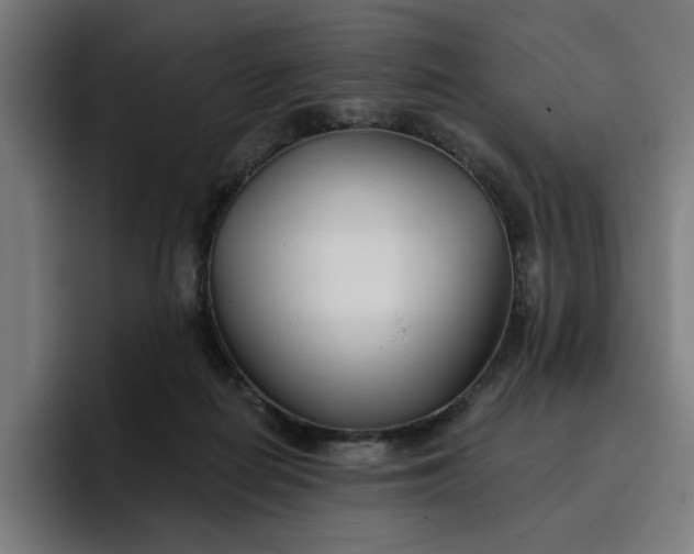 X0000096710266200802191514