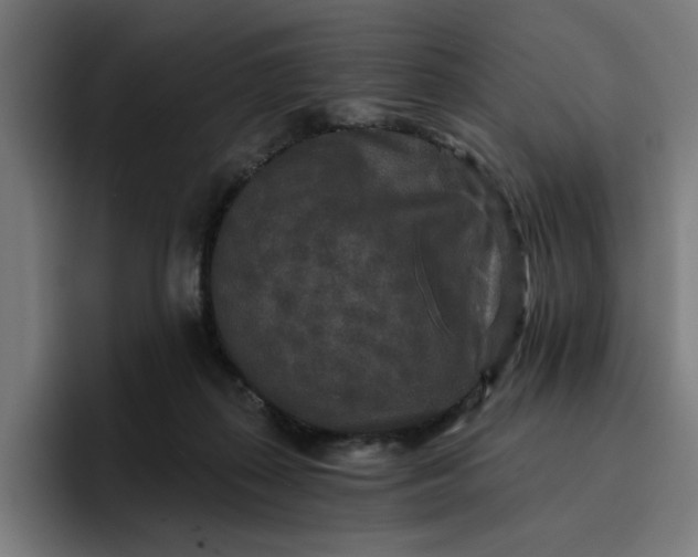 X0000096710267200802191514