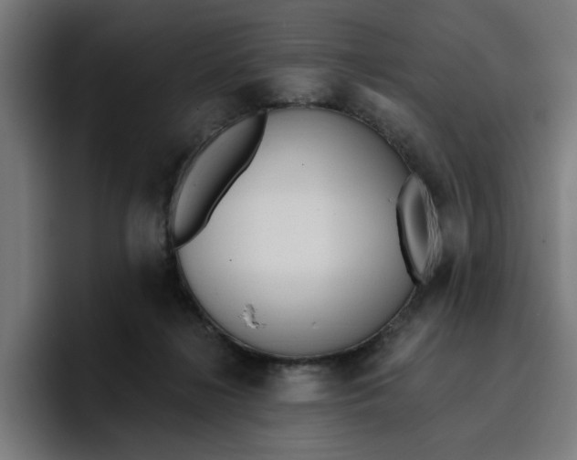 X0000096710268200802191514