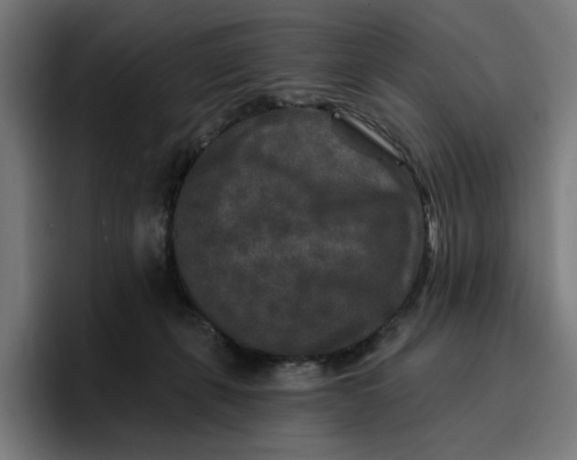 X0000096710271200802191514