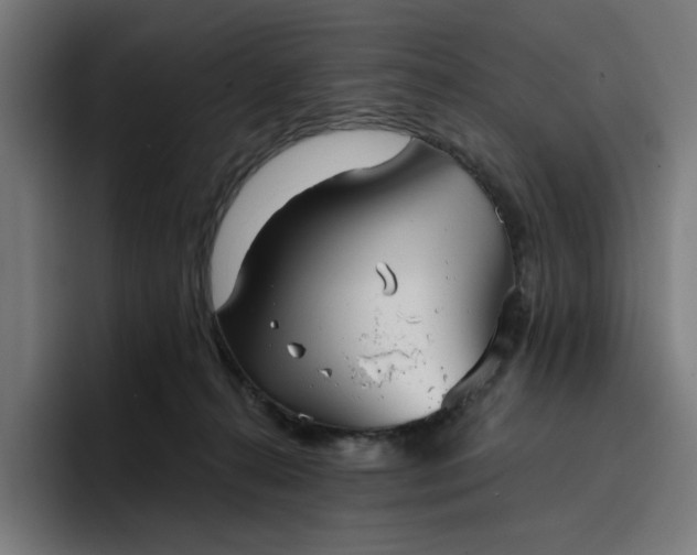 X0000096710272200802191514