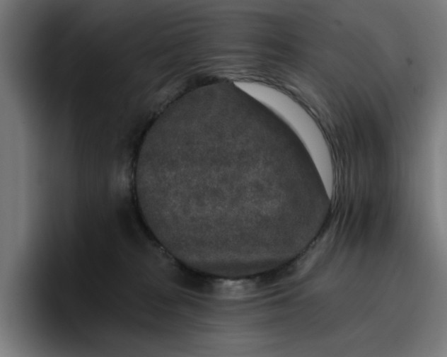 X0000096710277200802191514