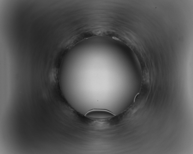 X0000096710280200802191514